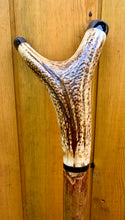 Load image into Gallery viewer, Antler Handled Hazel Wood Country Thumbstick Walking Stick by Helen Elizabeth

