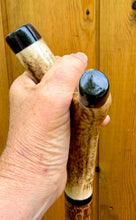 Load image into Gallery viewer, Antler Handled Hazel Wood Country Thumbstick Walking Stick by Helen Elizabeth
