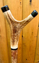 Load image into Gallery viewer, Antler Handled Hazel Wood Country Thumbstick Walking Stick by Helen Elizabeth
