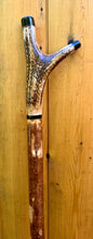 Load image into Gallery viewer, Antler Handled Hazel Wood Country Thumbstick Walking Stick by Helen Elizabeth
