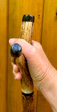 Load image into Gallery viewer, Antler Handled Hazel Wood Country Thumbstick Walking Stick by Helen Elizabeth
