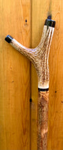 Load image into Gallery viewer, Antler Handled Hazel Wood Country Thumbstick Walking Stick by Helen Elizabeth
