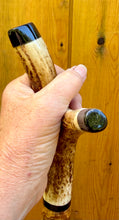 Load image into Gallery viewer, Antler Handled Hazel Wood Country Thumbstick Walking Stick by Helen Elizabeth
