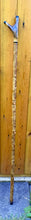 Load image into Gallery viewer, Antler Handled Hazel Wood Country Thumbstick Walking Stick by Helen Elizabeth
