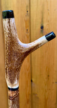 Load image into Gallery viewer, Hazel Wood Country Thumbstick with Antler Handle (4)
