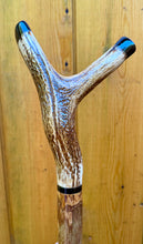 Load image into Gallery viewer, Antler Handled Hazel Wood Country Thumbstick Walking Stick by Helen Elizabeth
