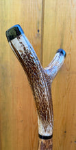 Load image into Gallery viewer, Antler Handled Hazel Wood Country Thumbstick Walking Stick by Helen Elizabeth
