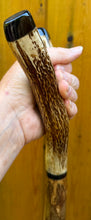 Load image into Gallery viewer, Antler Handled Hazel Wood Country Thumbstick Walking Stick by Helen Elizabeth
