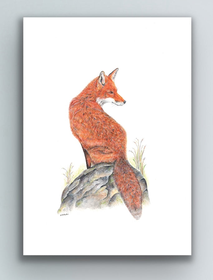 Red Fox Limited Edition Print Helen Elizabeth Studios