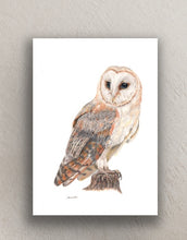 Load image into Gallery viewer, Signed Limited edition giclee print barn owl by Helen Elizabeth
