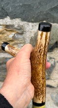 Load image into Gallery viewer, Kingfisher by the river on Antler handled country thumb stick
