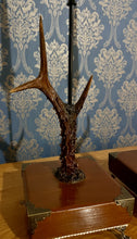Load image into Gallery viewer, Rustic Roe Deer Stag Horn Antler Pair Candle Stick Holders by Helen Elizabeth Studios
