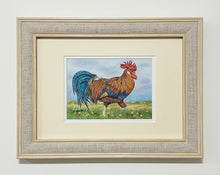 Load image into Gallery viewer, Striding cockerel colouered pencil drawing by Helen Elizabeth Studios
