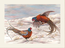 Load image into Gallery viewer, Winter Fighting Pheasant Signed limited Giclee print by Helen Elizabeth Studios mounted
