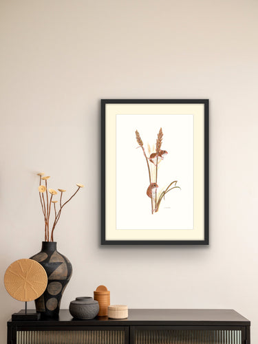 field mice on wheat - signed limited edition giclee print by Helen Elizabeth