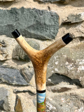 Load image into Gallery viewer, Nuthatch - Hand Painted Staghorn Thumbstick
