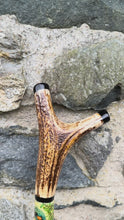 Load and play video in Gallery viewer, Kingfisher by the river on Antler handled country thumb stick
