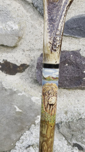 Highland Cow Hand Painted on Antler Handle Hazel Thumbstick by Helen Elizabeth Studios