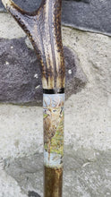 Load and play video in Gallery viewer, Roaring Stag Painted on Antler Handle Hazel Thumbstick by Helen Elizabeth StudiosHelen 
