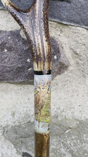 Roaring Stag Painted on Antler Handle Hazel Thumbstick by Helen Elizabeth StudiosHelen 