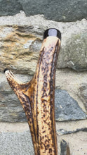 Load and play video in Gallery viewer, Puffins on The Cliff - Hand Painted Hazel Thumbstick with Antler Handle
