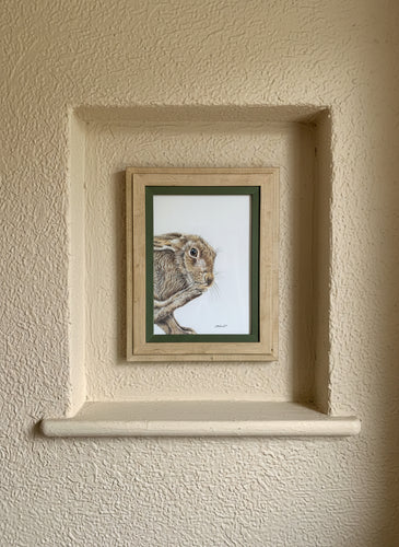 wild brown hare colouered pencil drawing by Helen Elizabeth Studios