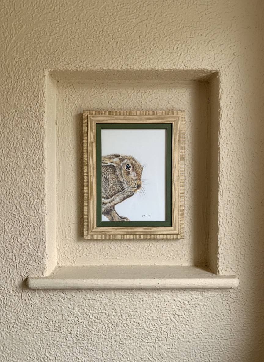 wild brown hare colouered pencil drawing by Helen Elizabeth Studios