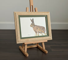 Load image into Gallery viewer, wild brown hare colouered pencil drawing by Helen Elizabeth Studios
