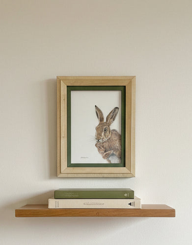 wild brown hare colouered pencil drawing by Helen Elizabeth Studios