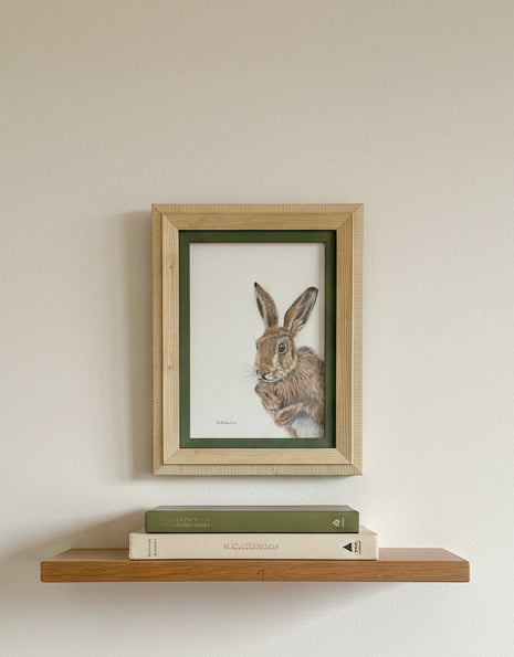 wild brown hare colouered pencil drawing by Helen Elizabeth Studios