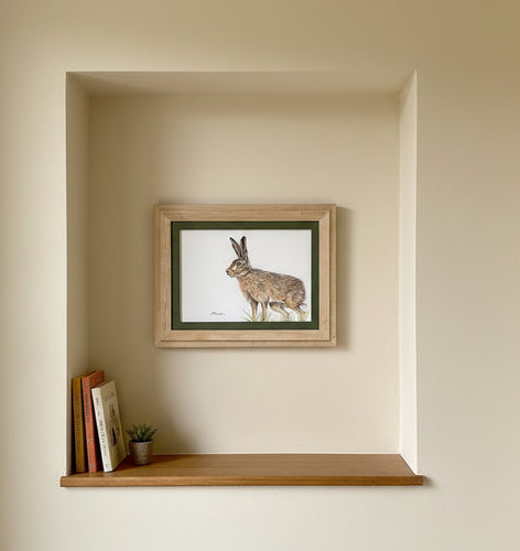 wild brown hare colouered pencil drawing by Helen Elizabeth Studios