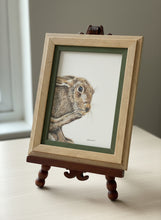 Load image into Gallery viewer, wild brown hare colouered pencil drawing by Helen Elizabeth Studios

