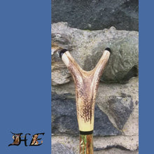 Load and play video in Gallery viewer, MacNab Inspired - Hand Painted StagHorn Thumbstick by Helen Elizabeth
