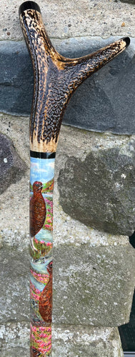 Red Grouse Hand Painted Hazel Thumbstick with Antler Handle by Helen Elizabeth