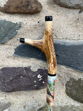 Load image into Gallery viewer, Goldfinch on thistle hand painted stag horn thumbstick by Helen Elizabeth Studios
