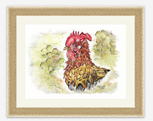 Load image into Gallery viewer, Farmyard Cockerel  - Signed Limited Edition Gicleé Fine Art Print A3 - Helen Elizabeth
