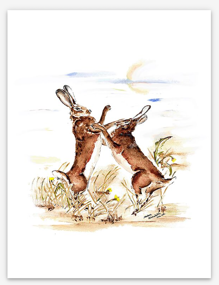 boxing hares giclee fine art print by helen elizabeth roberts