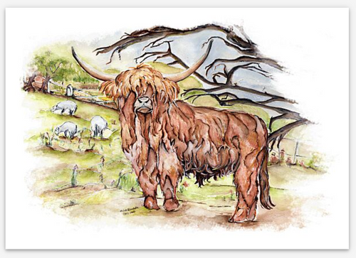 Highland Cow signed limited giclee print Helen Elizabeth
