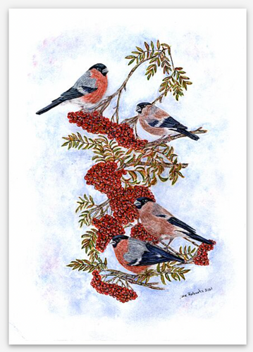 Bullfinches on roan berry tree by helen elizabeth roberts