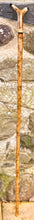 Load image into Gallery viewer, Hazel wood antler handled, handmade wooden walking sticks thumbsticks hiking sticks by Helen Elizabeth Studios

antler stag horn thumbstick walking stick by Helen Elizaabeth  Studios
