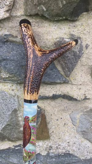 Red Grouse Hand Painted Hazel Thumbstick with Antler Handle by Helen Elizabeth